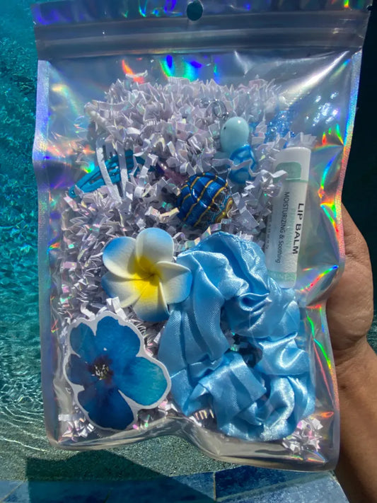 Mini-Accessory Gift Bags (Colors/Items Varies)